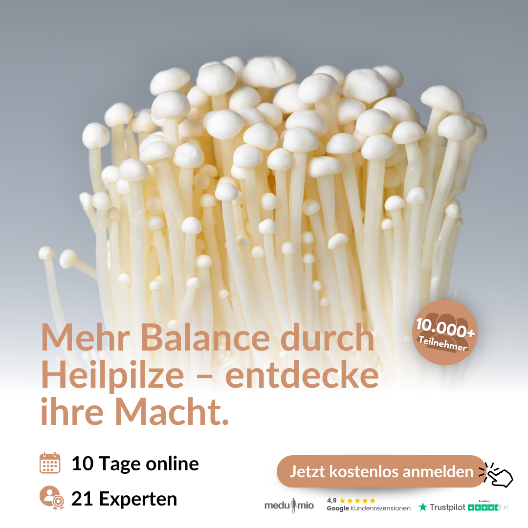 Heilpilz Kongress (online) Heilpilz Kongress (online)