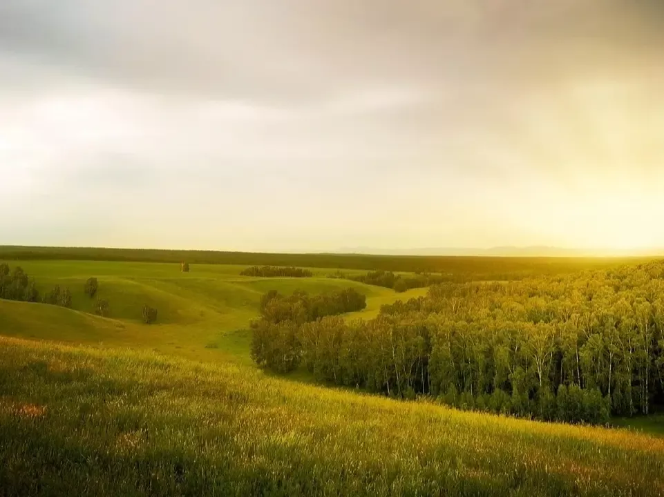 Übergang und Offenheit, ohne Richtung